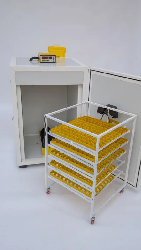 amane incubator 1584